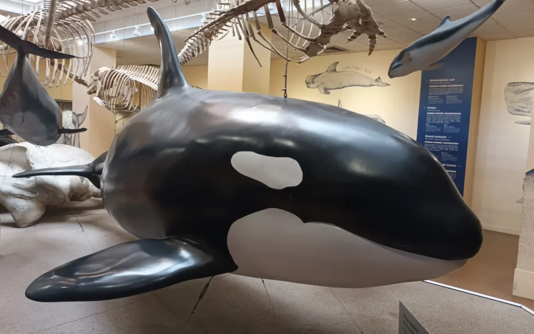 Aquarium de Biarritz