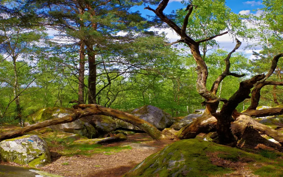 Gorges d&rsquo;Apremont
