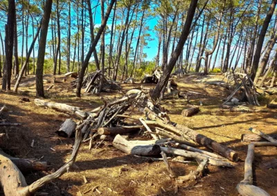 La randonnée de Mimizan