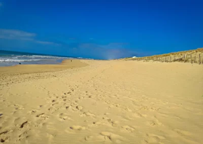 La randonnée de Mimizan