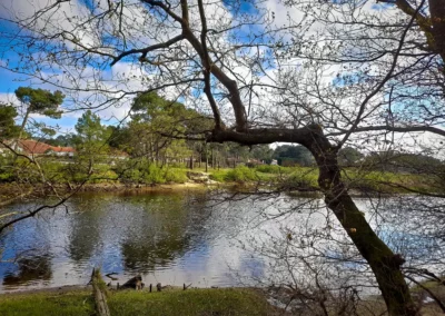 La randonnée de Mimizan