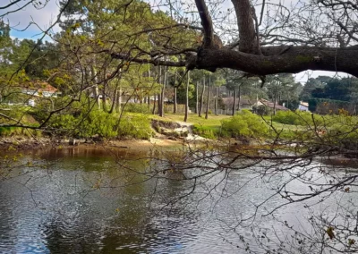 La randonnée de Mimizan