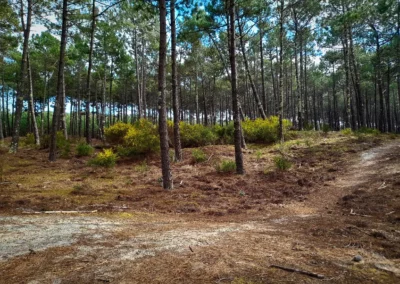 La randonnée de Mimizan