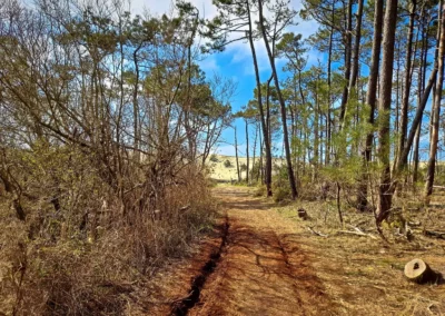 La randonnée de Mimizan