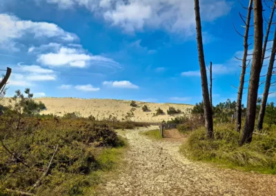 La randonnée de Mimizan