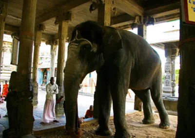 Le Temple Chamundeshwari Mysore