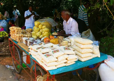 Le Temple pattou pattou