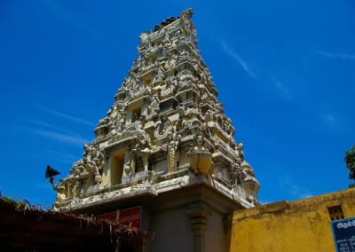 Le Temple pattou pattou