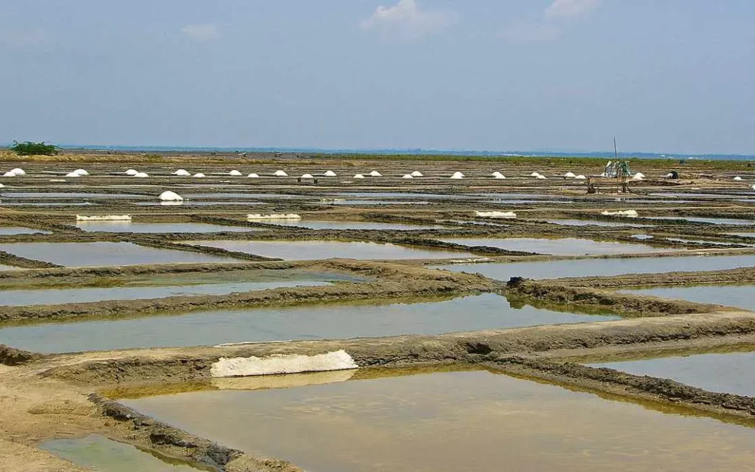 Salines de Marakkanam