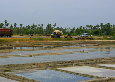 Les Salines de Marakkanam en inde