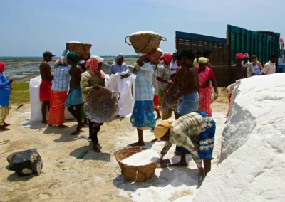 Les Salines de Marakkanam en inde