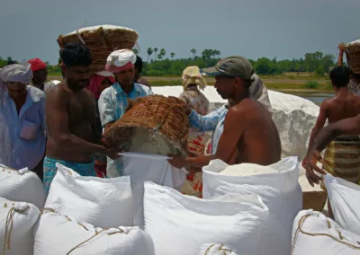 Les Salines de Marakkanam en inde