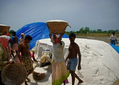 Les Salines de Marakkanam en inde