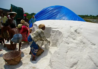 Les Salines de Marakkanam en inde