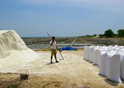 Les Salines de Marakkanam en inde
