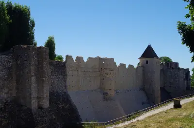 Provins la cité médiévale
