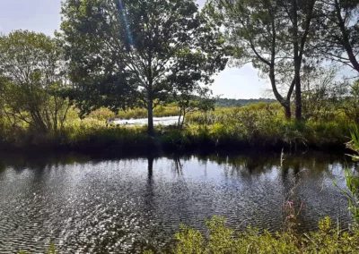 Randonnée de Navarosse via canal de Biscarosse