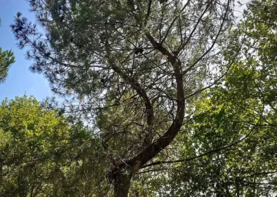 Randonnée de Navarosse via canal de Biscarosse