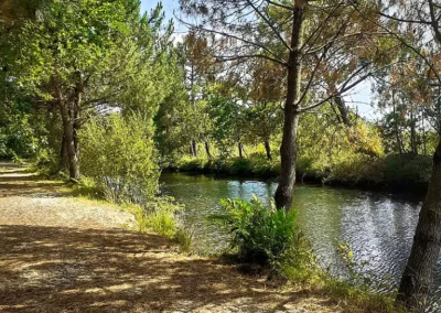 Randonnée de Navarosse via canal de Biscarosse