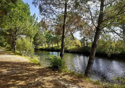 Randonnée de Navarosse via canal de Biscarosse