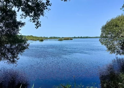 Randonnée de Navarosse via canal de Biscarosse