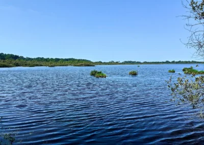 Randonnée de Navarosse via canal de Biscarosse