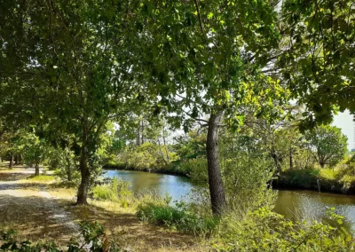 Randonnée de Navarosse via canal de Biscarosse