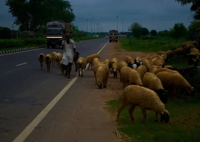 Rencontre sur la route de jaipur à New Delhi