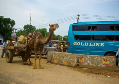 Rencontre sur la route de jaipur à New Delhi