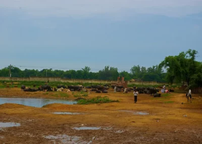 Rencontre sur la route de jaipur à New Delhi