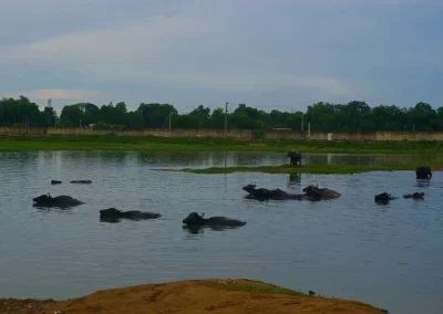 Rencontre sur la route de jaipur à New Delhi
