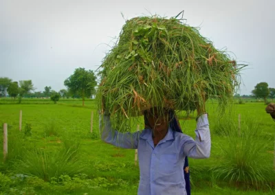 Rencontre sur la route de jaipur à New Delhi