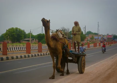 Rencontre sur la route de jaipur à New Delhi