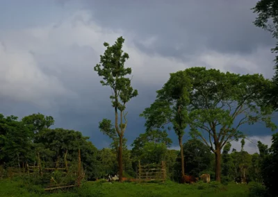 Réserve Annamalai National Park