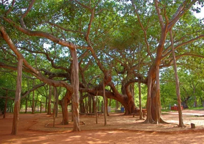Ville de Auroville en Inde
