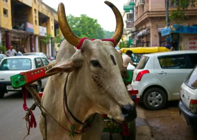 Ville de New Delhi en Inde