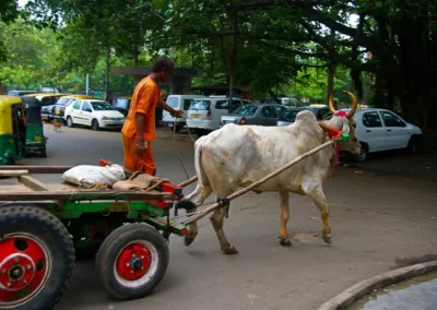 Ville de New Delhi en Inde