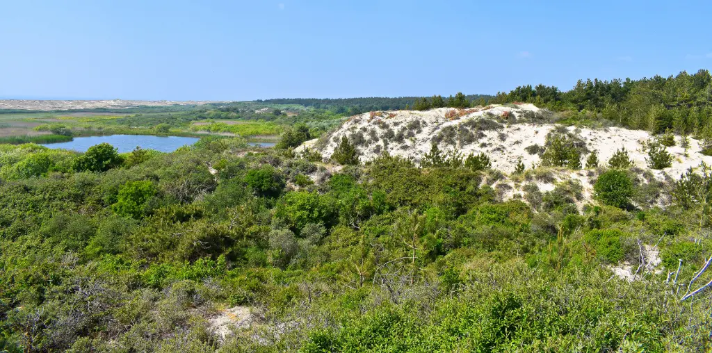 Parc du Marquenterre