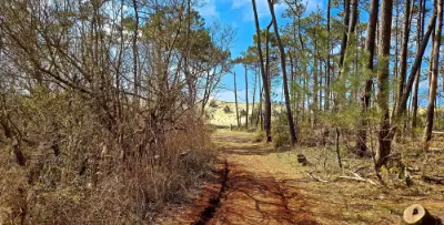 la randonnée de mimizan