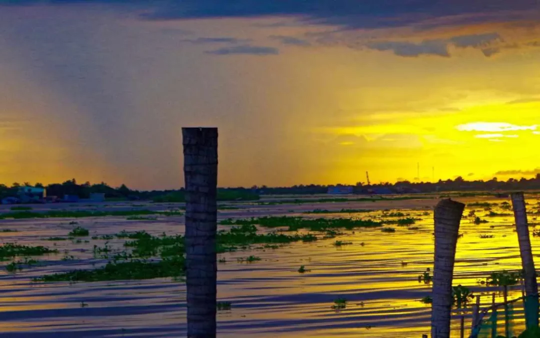 Delta du Mekong