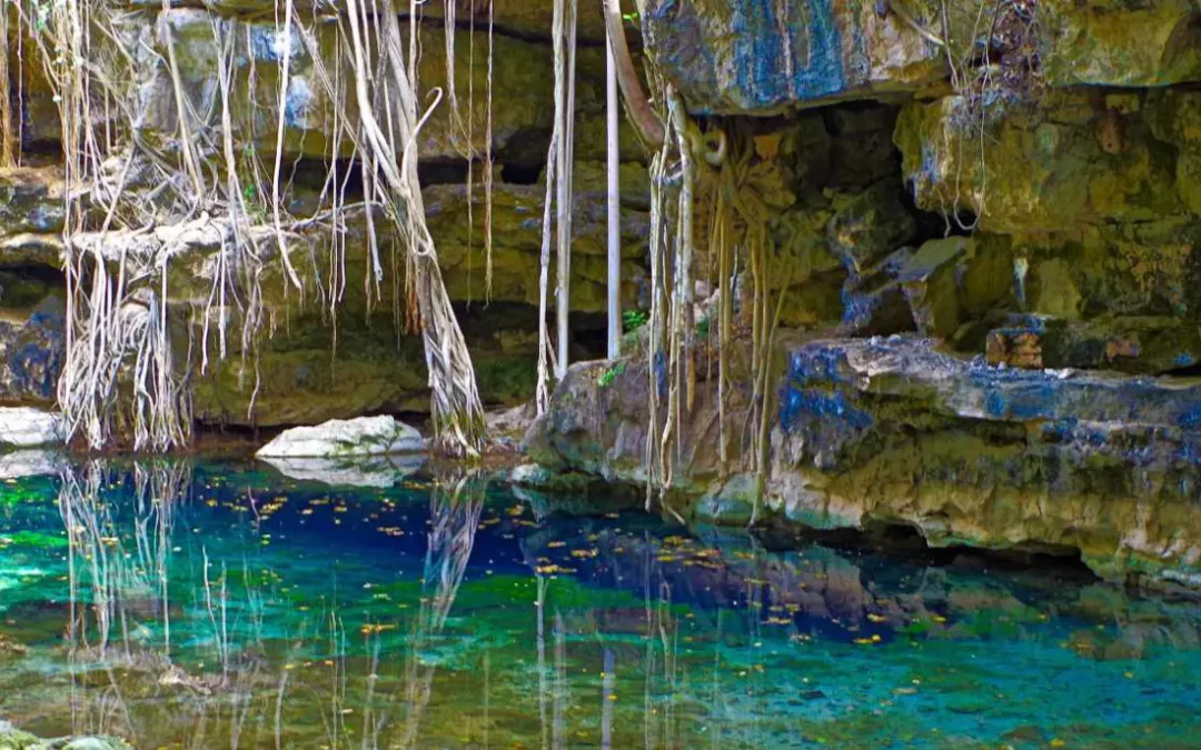 Cenotes X Batun et Dzombakal