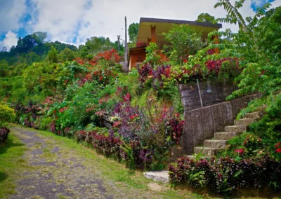 La région de Munduk