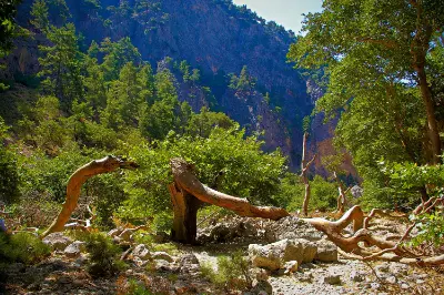 Le Parc National de Samaria Le Parc National de Samaria