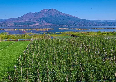 Le Volcan Batur à Bali