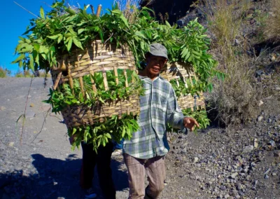 Le Volcan Batur à Bali