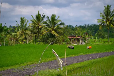 Le village de Sebatu