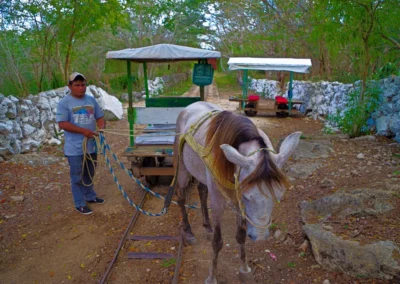 Les Cenotes Chunkanan au Yucatan