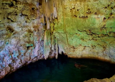 Les Cenotes Chunkanan au Yucatan