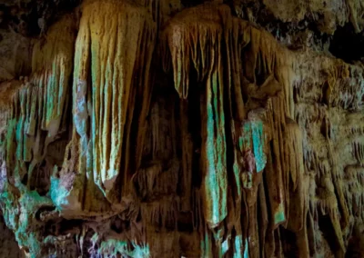 Les Cenotes Chunkanan au Yucatan