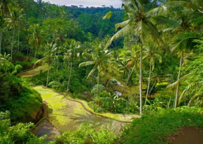 Les Tombeaux royaux de Gunung Kawi